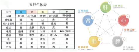 東洋医学 膵臓 感情